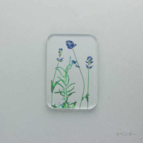 押花 ソープ ディッシュ