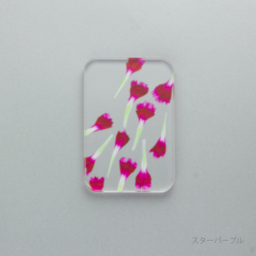 押花 ソープディッシュ カーネーション