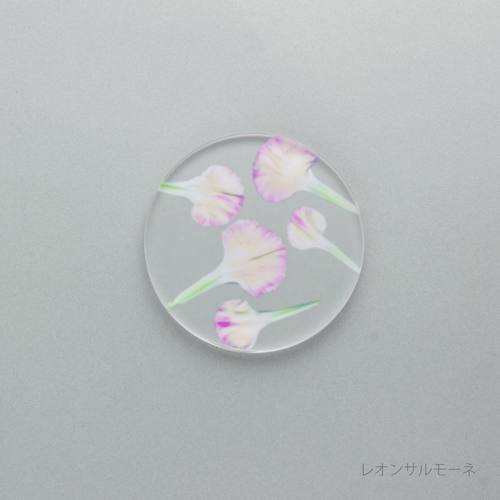 押花 ソープディッシュ カーネーション