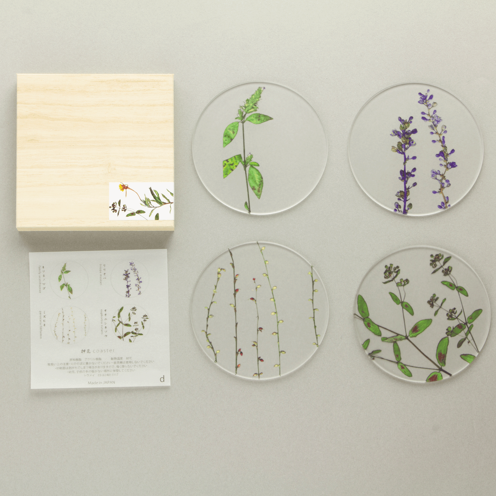 押花 コースター 木箱入り4枚セット | toumei online store 押花 コースター 木箱入り4枚セット | toumei online store