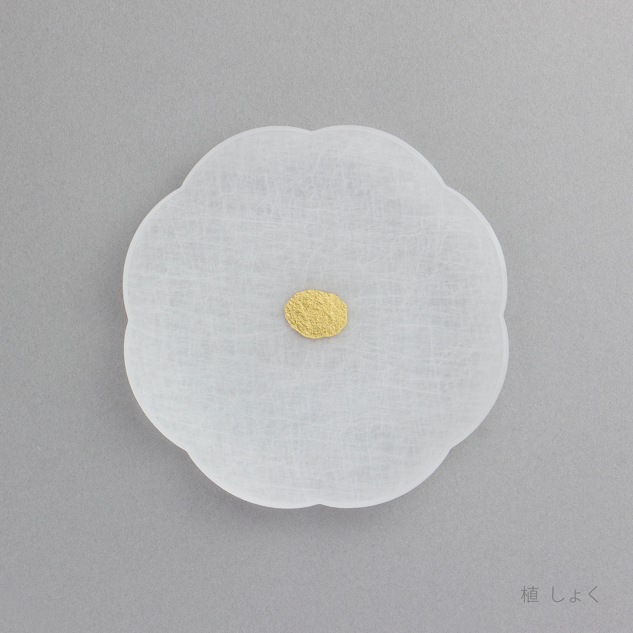 mamezara_syoku_ue.png?v=1709090250